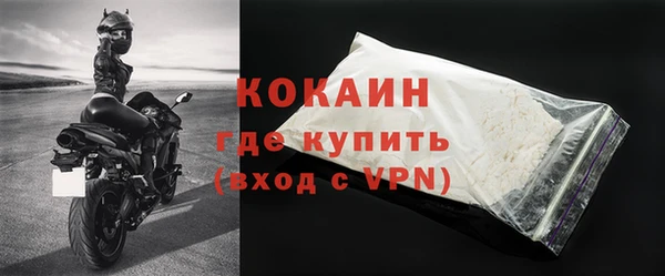 хмурый Магас