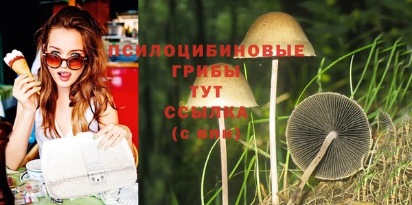 прущий лед Балахна